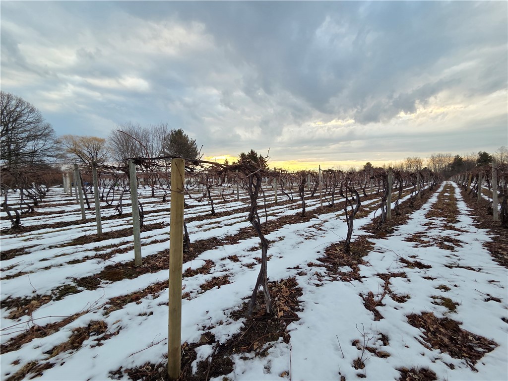 Sutton Road Penn Yan, NY 14527 - Photo 36 of 50