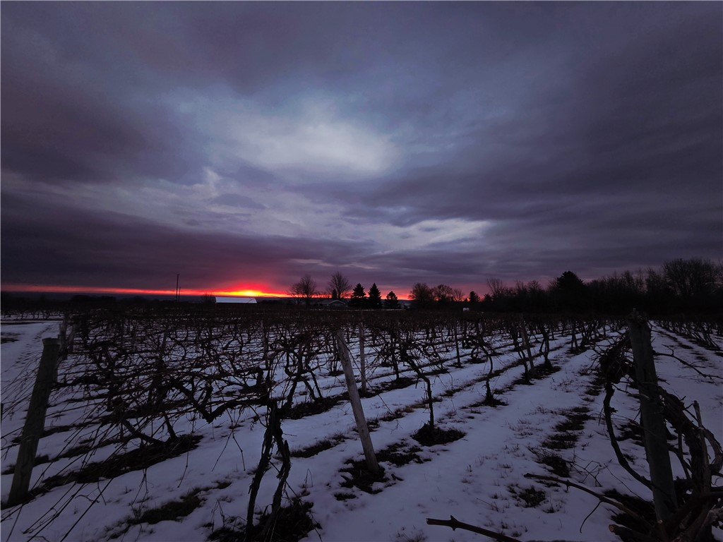 Sutton Road Penn Yan, NY 14527 - Photo 4 of 50