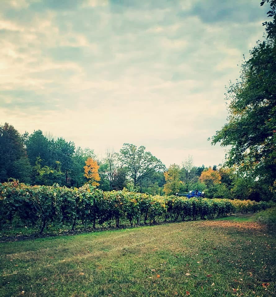 Sutton Road Penn Yan, NY 14527 - Photo 41 of 50