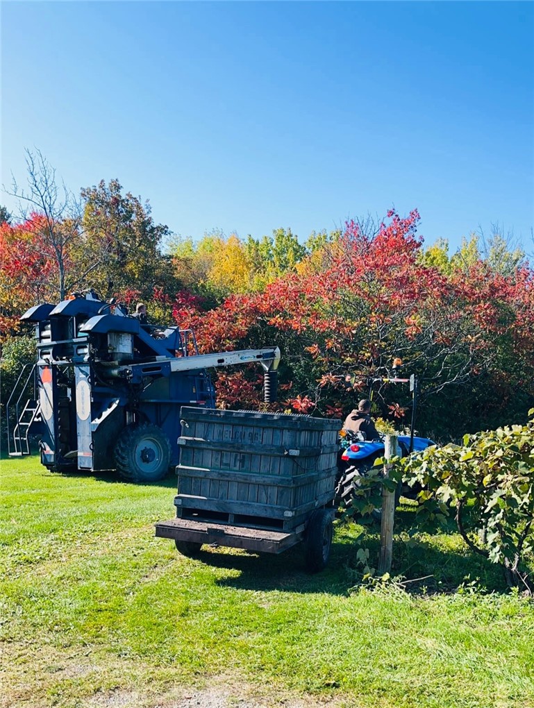 Sutton Road Penn Yan, NY 14527 - Photo 42 of 50