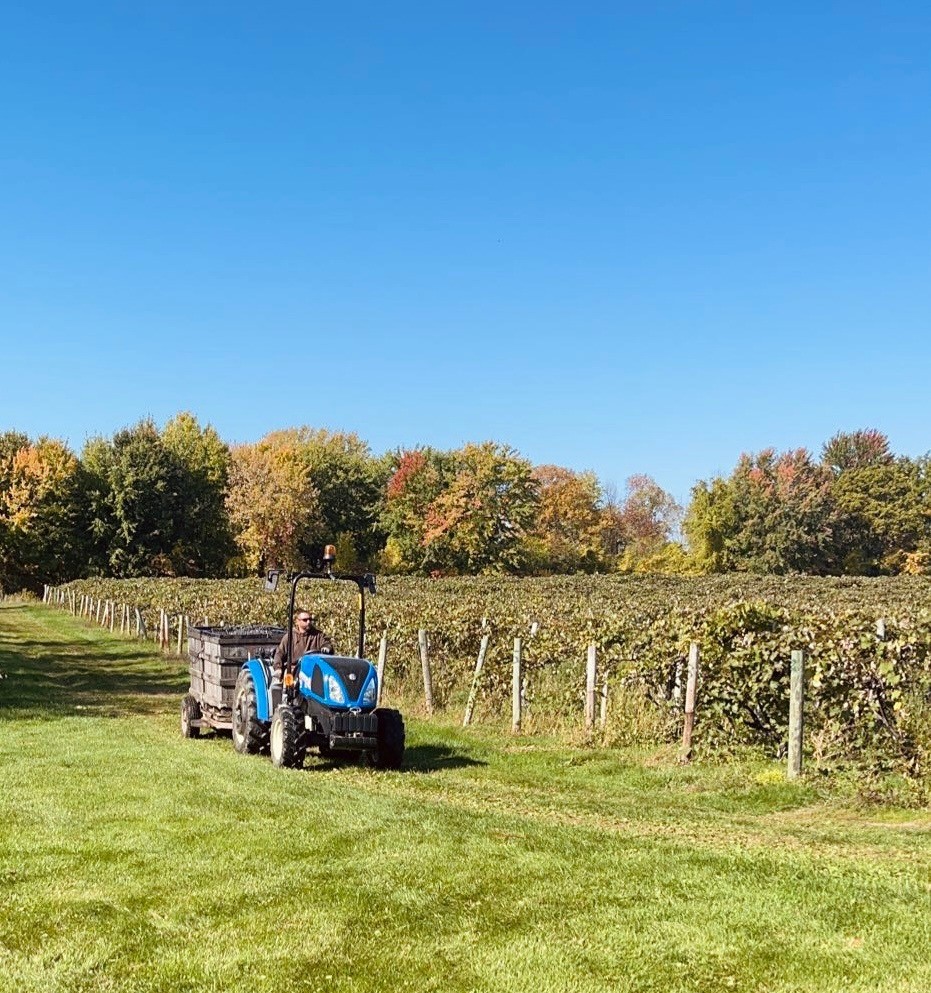 Sutton Road Penn Yan, NY 14527 - Photo 43 of 50