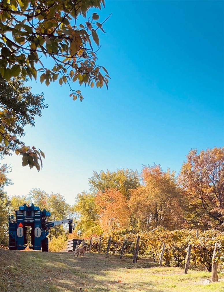 Sutton Road Penn Yan, NY 14527 - Photo 44 of 50