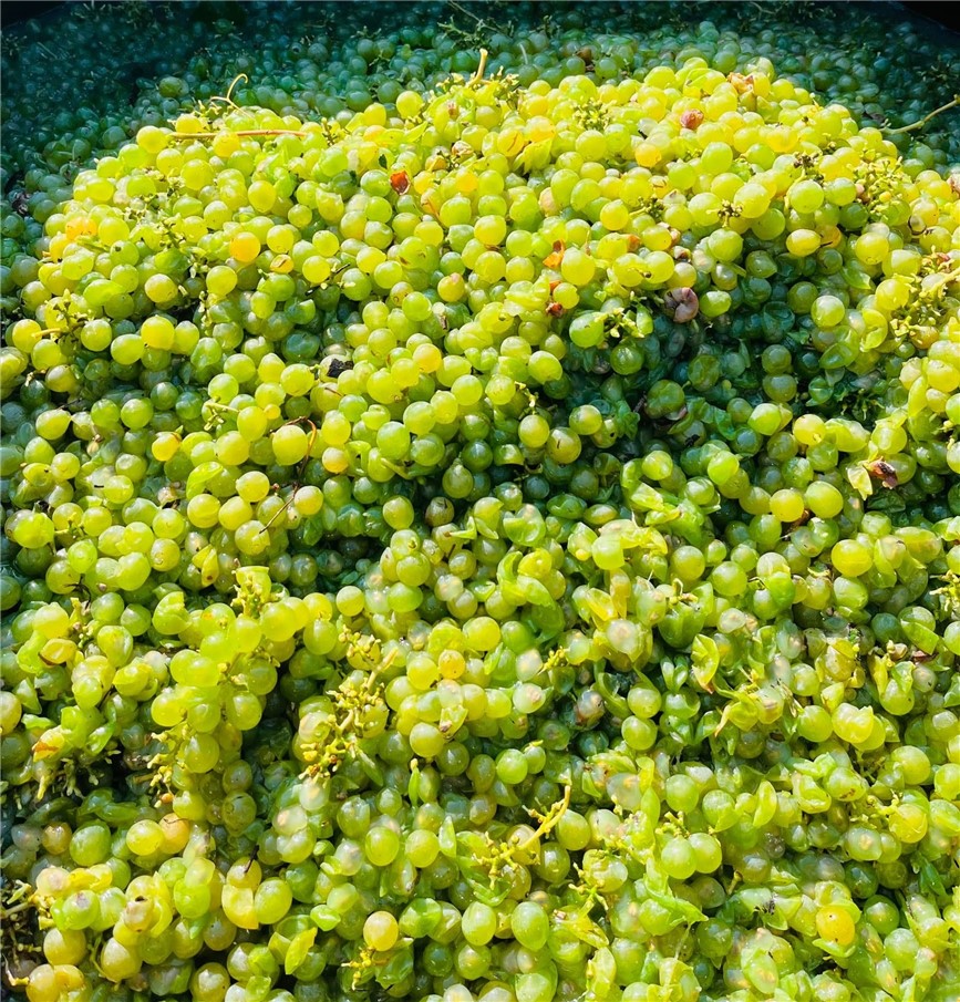 Sutton Road Penn Yan, NY 14527 - Photo 45 of 50