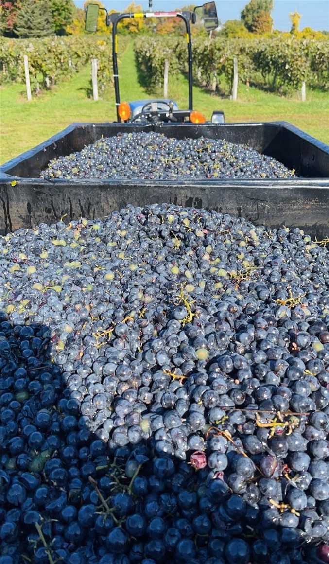 Sutton Road Penn Yan, NY 14527 - Photo 47 of 50