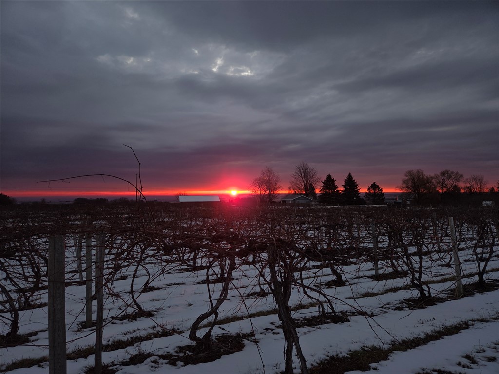 Sutton Road Penn Yan, NY 14527 - Photo 6 of 50