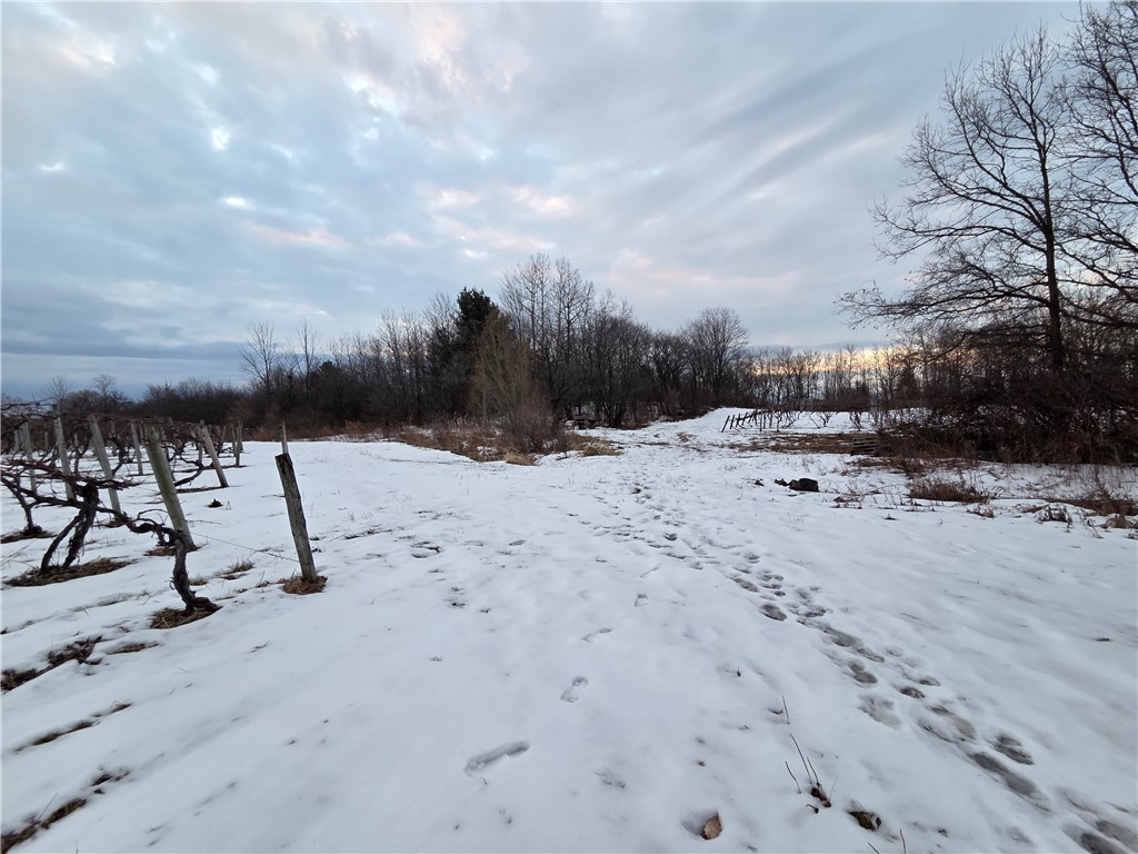 Sutton Road Penn Yan, NY 14527 - Photo 10 of 50