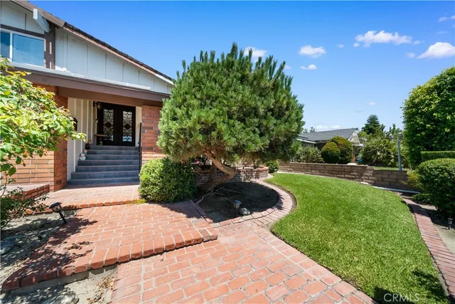 a view of a backyard with potted plants