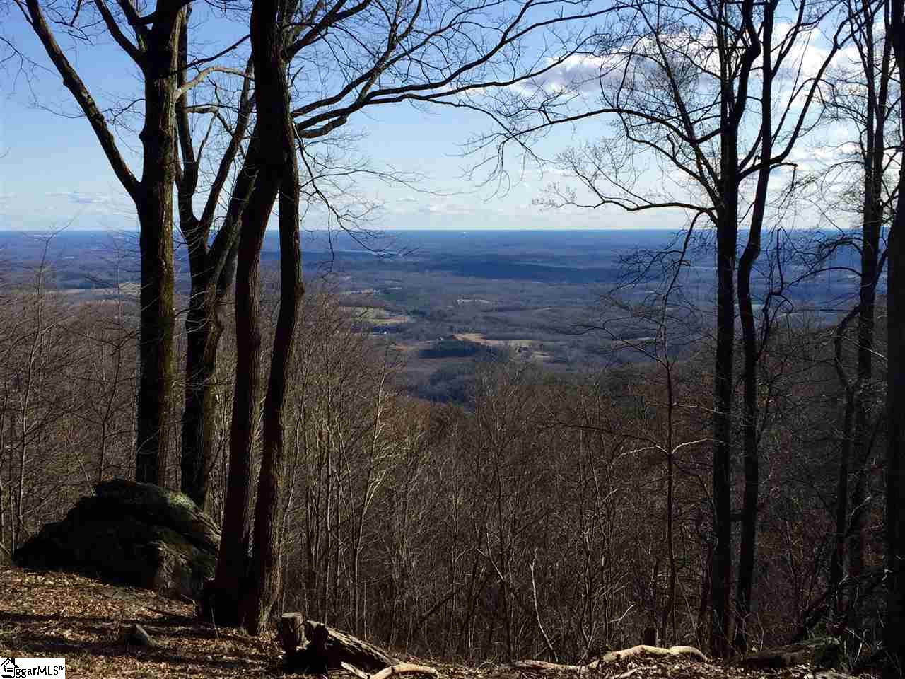 Spring Creek Trail Landrum, SC 29356 - Photo 1 of 7 Gallery Image 1