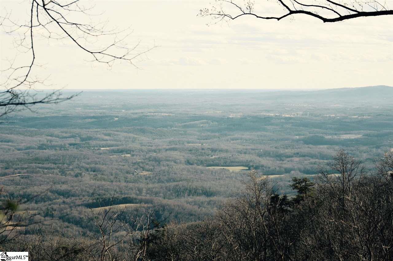 Spring Creek Trail Landrum, SC 29356 - Photo 2 of 7 Gallery Image 2