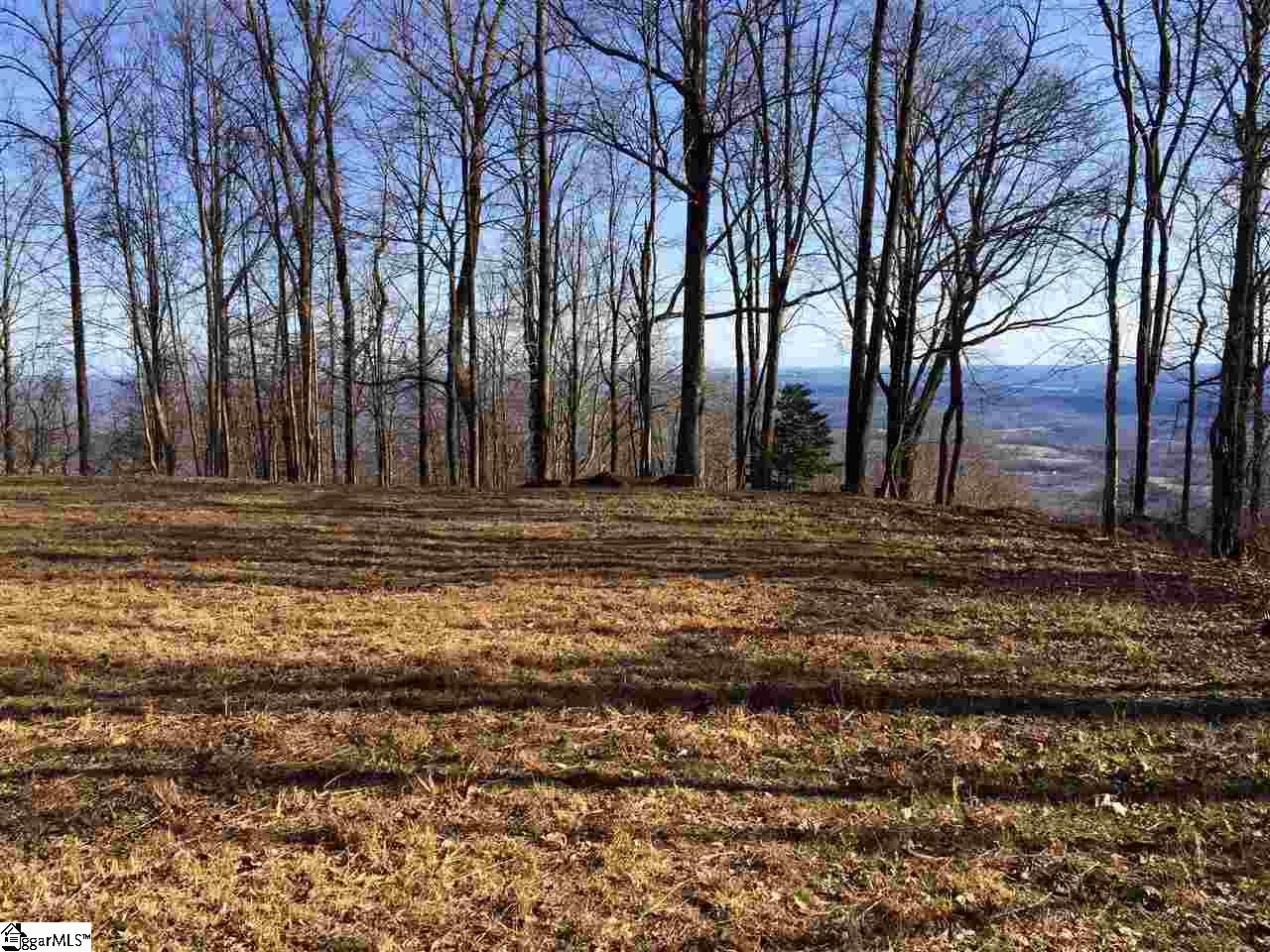 Spring Creek Trail Landrum, SC 29356 - Photo 3 of 7 Gallery Image 3