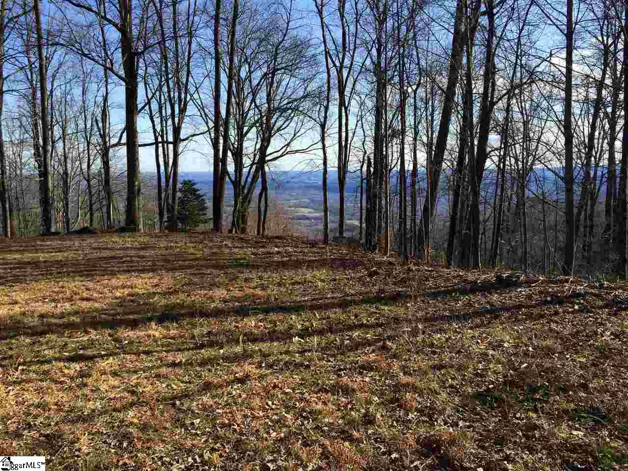 Spring Creek Trail Landrum, SC 29356 - Photo 5 of 7 Gallery Image 5