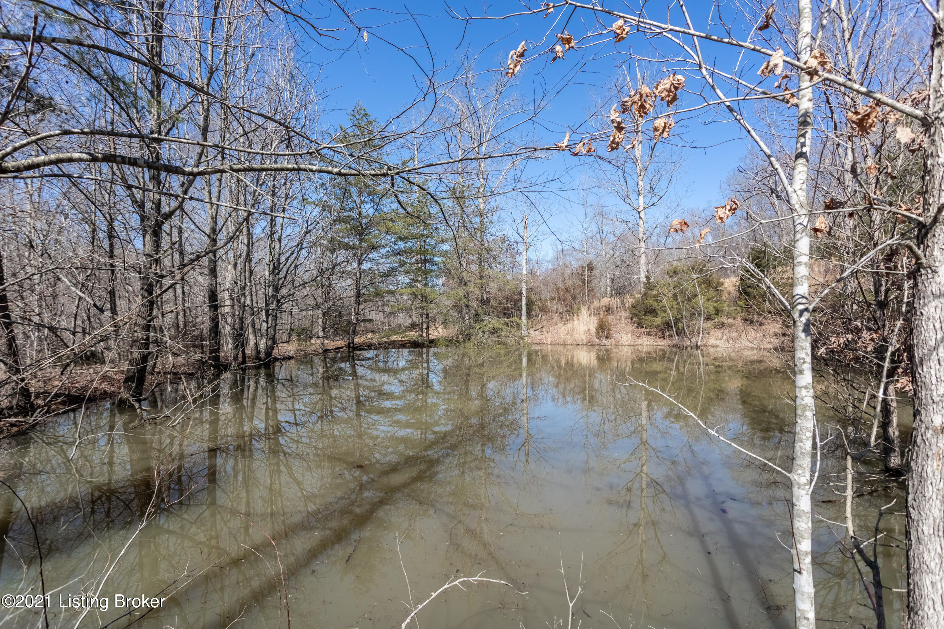 10234 Boston Road Boston, KY 40107 - Photo 42 of 42 pond