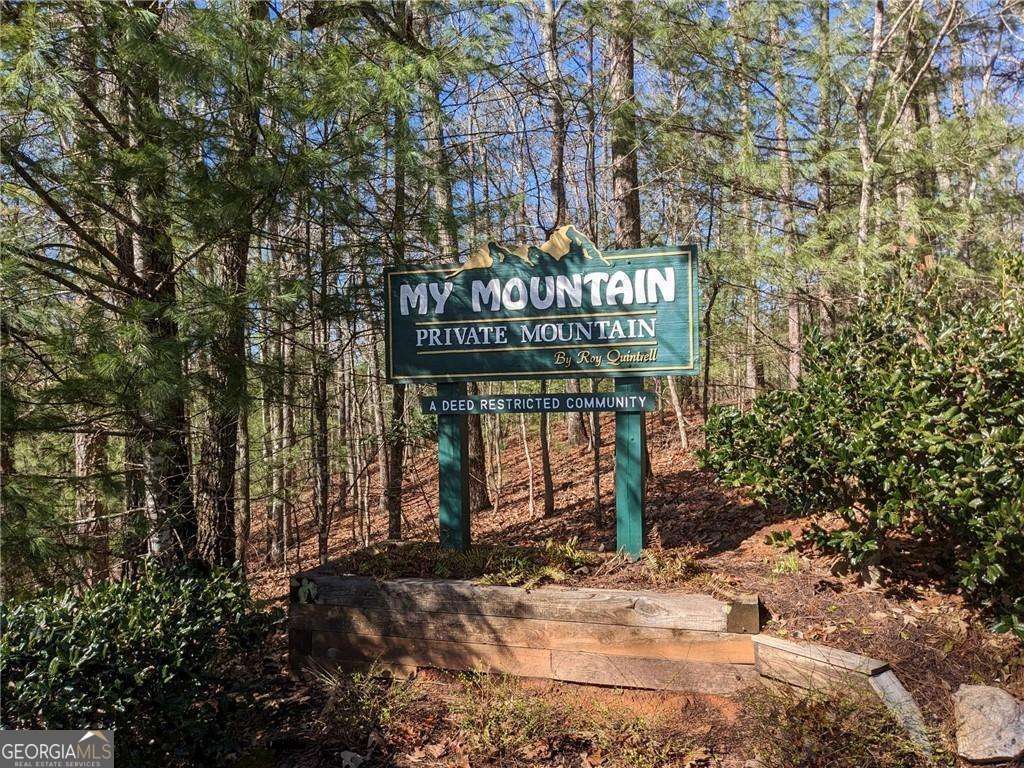 0 My Mountain Road Morganton, GA 30560 - Photo 1 of 1 Gallery Image 1