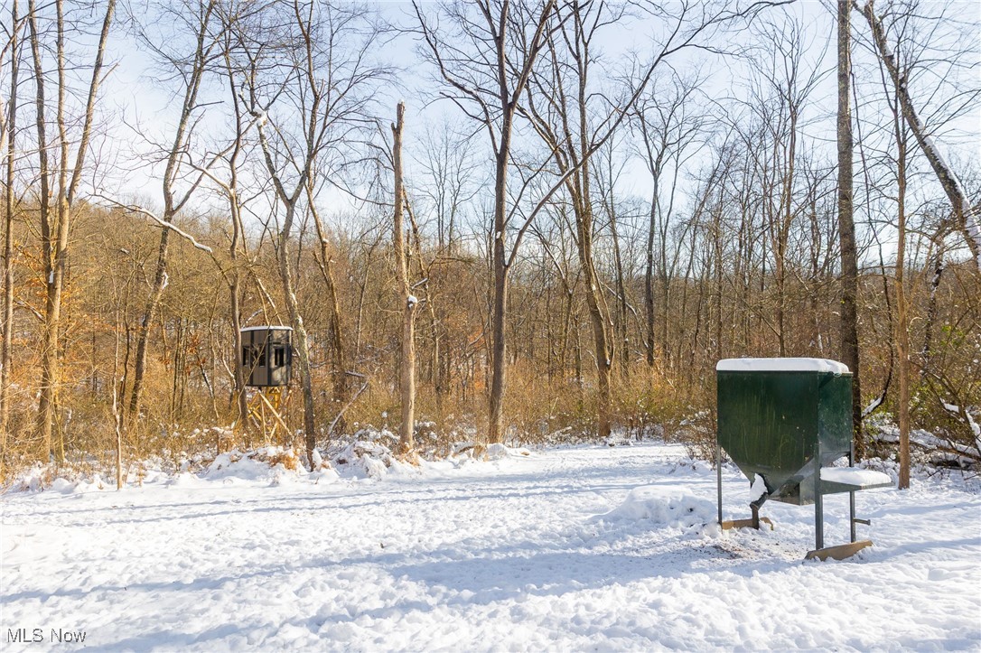 138 Township Road Coshocton, OH 43812 - Photo 5 of 47 Yard covered in snow with a wooded view