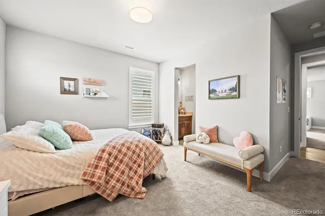 a bedroom with a bed and a couch