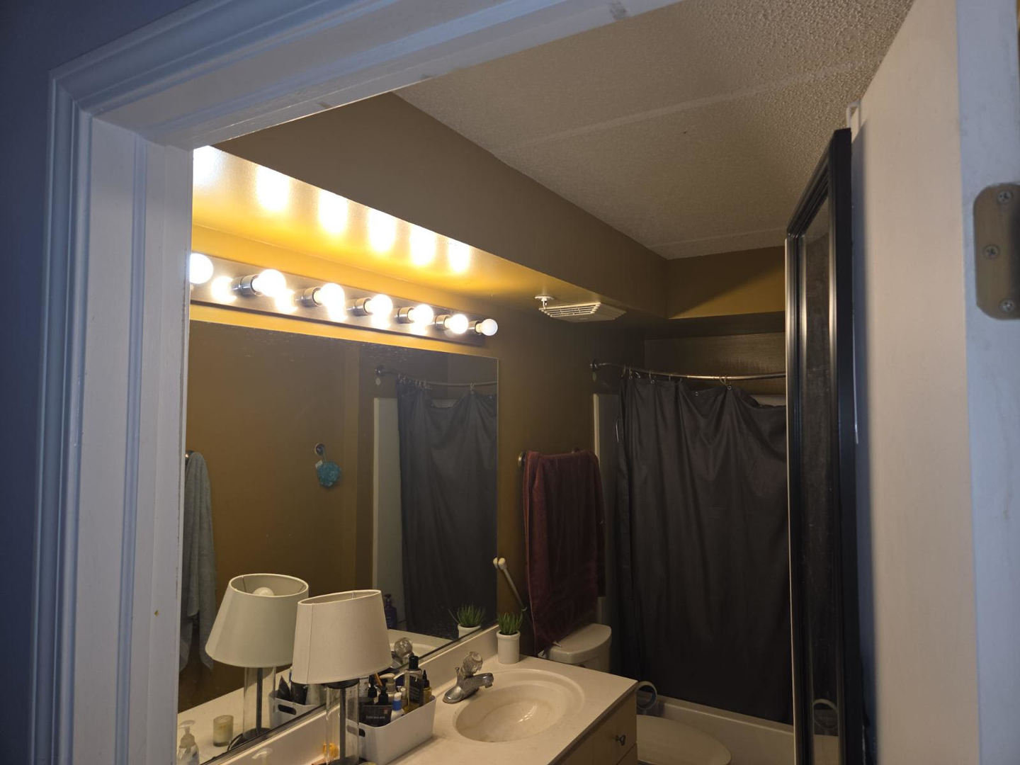 811 Chicago Avenue, Unit 308 Evanston, IL 60202 - Photo 3 of 18 a bathroom with a mirror and a sink