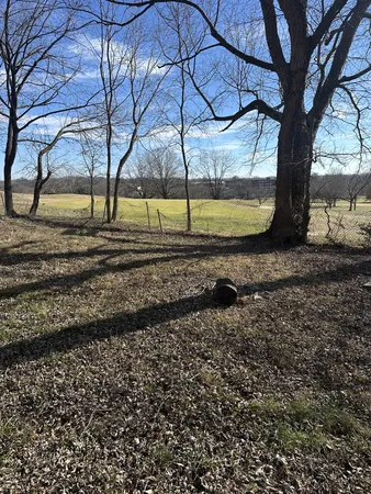 a view of a yard