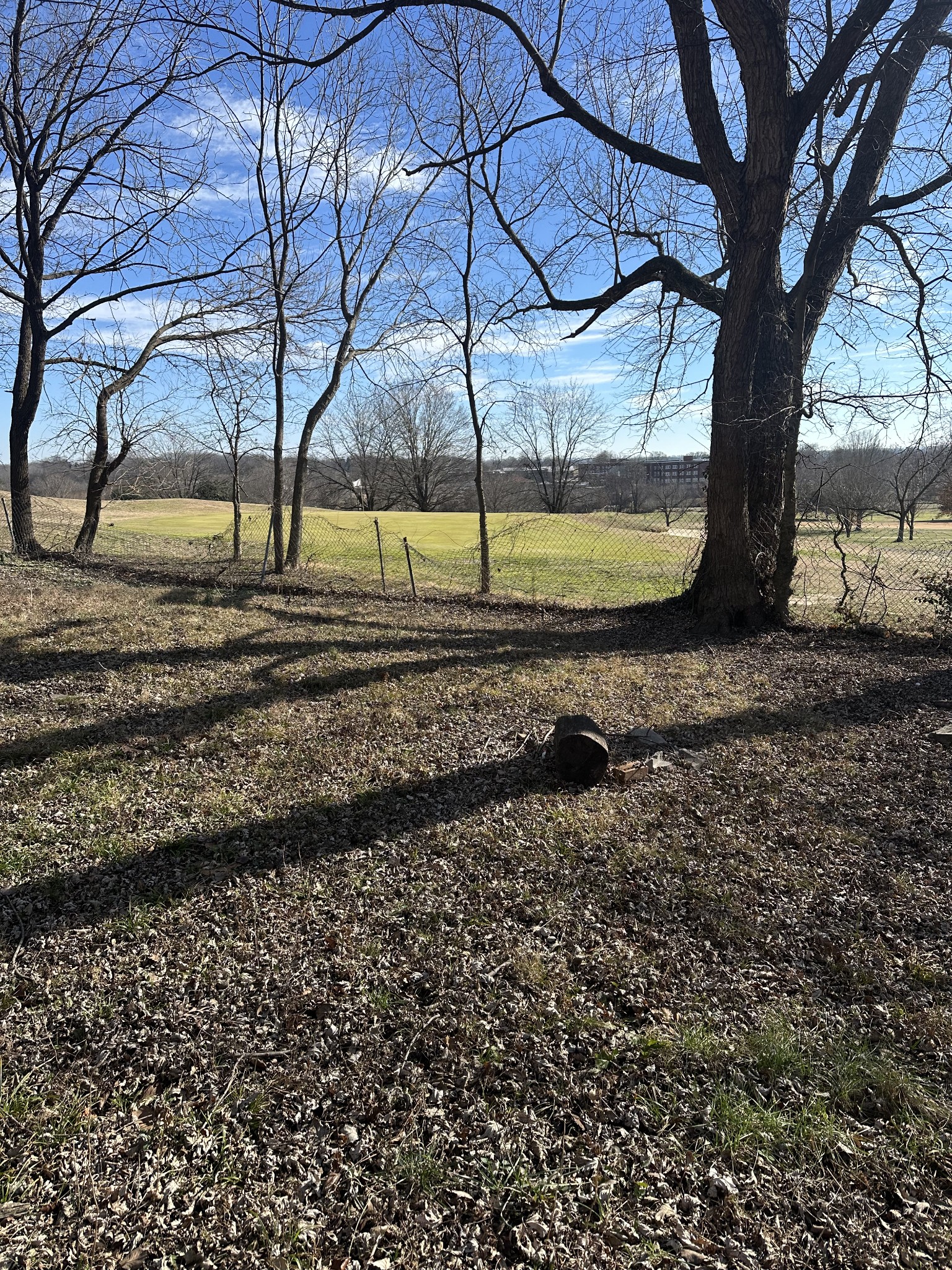 2123 Butler Road Hopkinsville, KY 42240 - Photo 4 of 10 a view of a yard