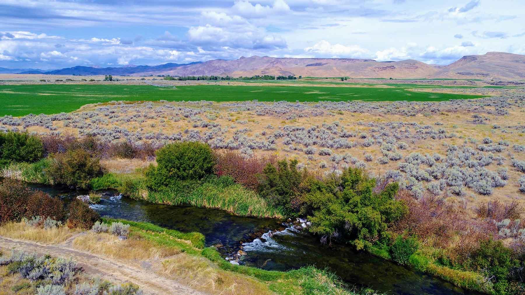 428 Cutoff Road Carey, ID 83320 - Photo 57 of 108 renegade-057