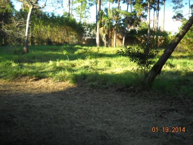6620 Dillman Road Greenacres, FL 33413 - Photo 17 of 18 DSCN0041