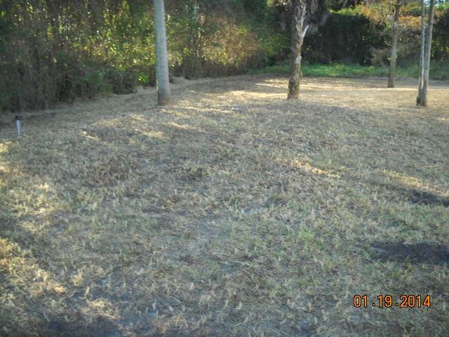 6620 Dillman Road Greenacres, FL 33413 - Photo 3 of 18 DSCN0009