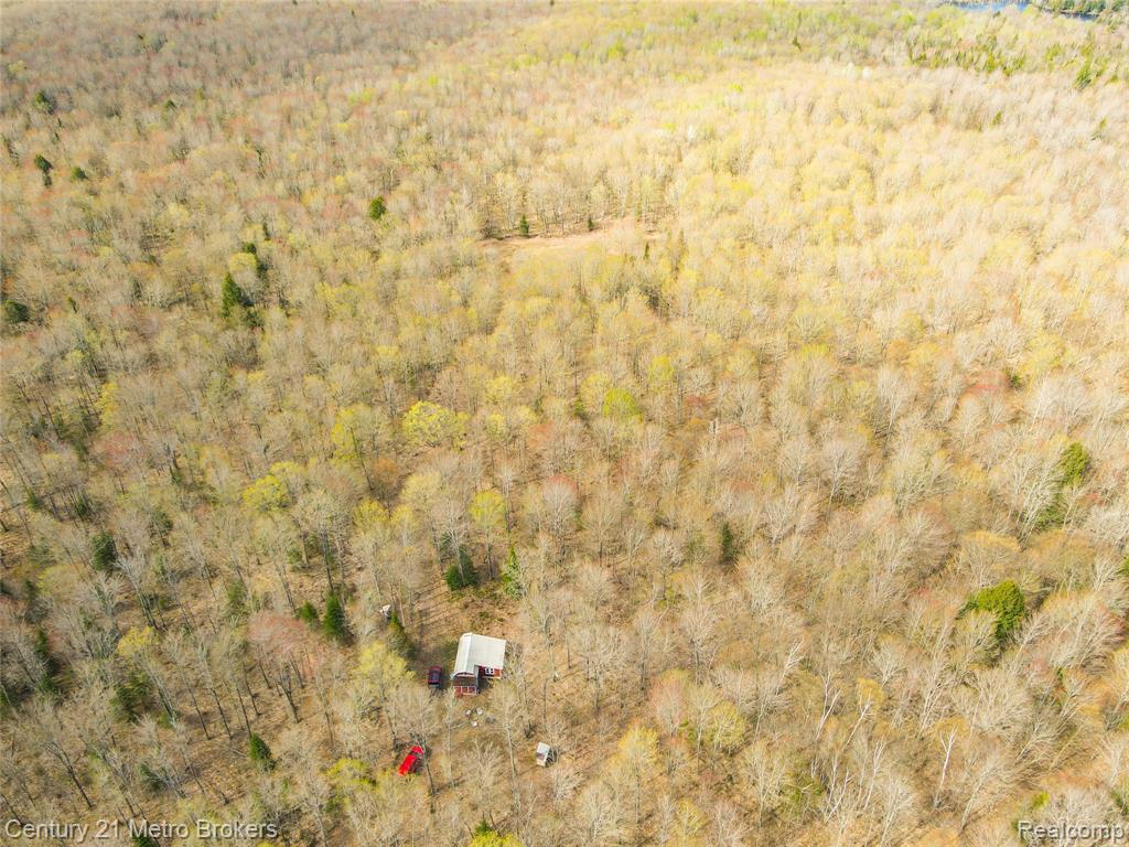 21821 Krenkel Road Newberry, MI 49868 - Photo 24 of 28