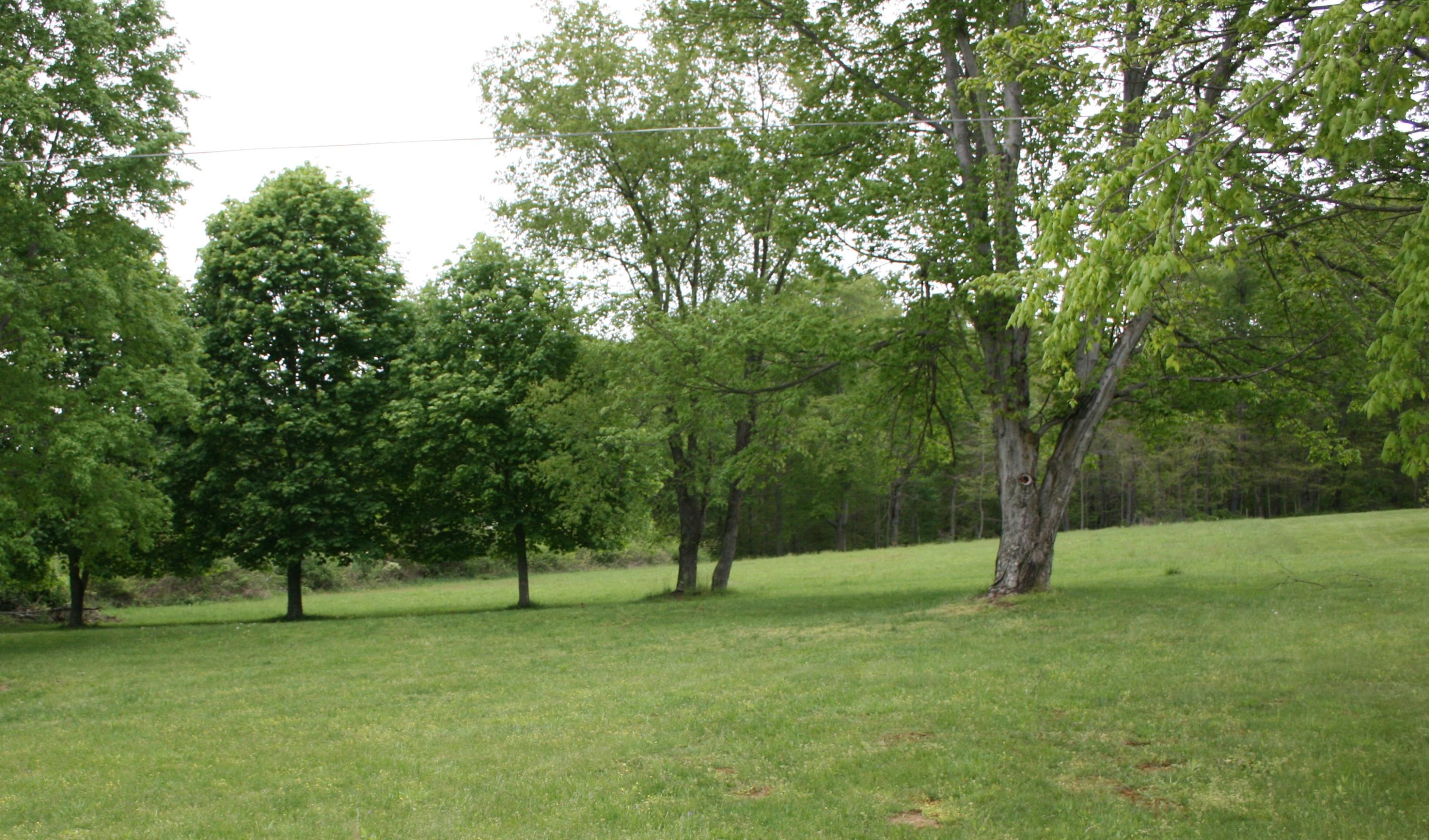9315 Frazeysburg Road Dresden, OH 43821 - Photo 9 of 9