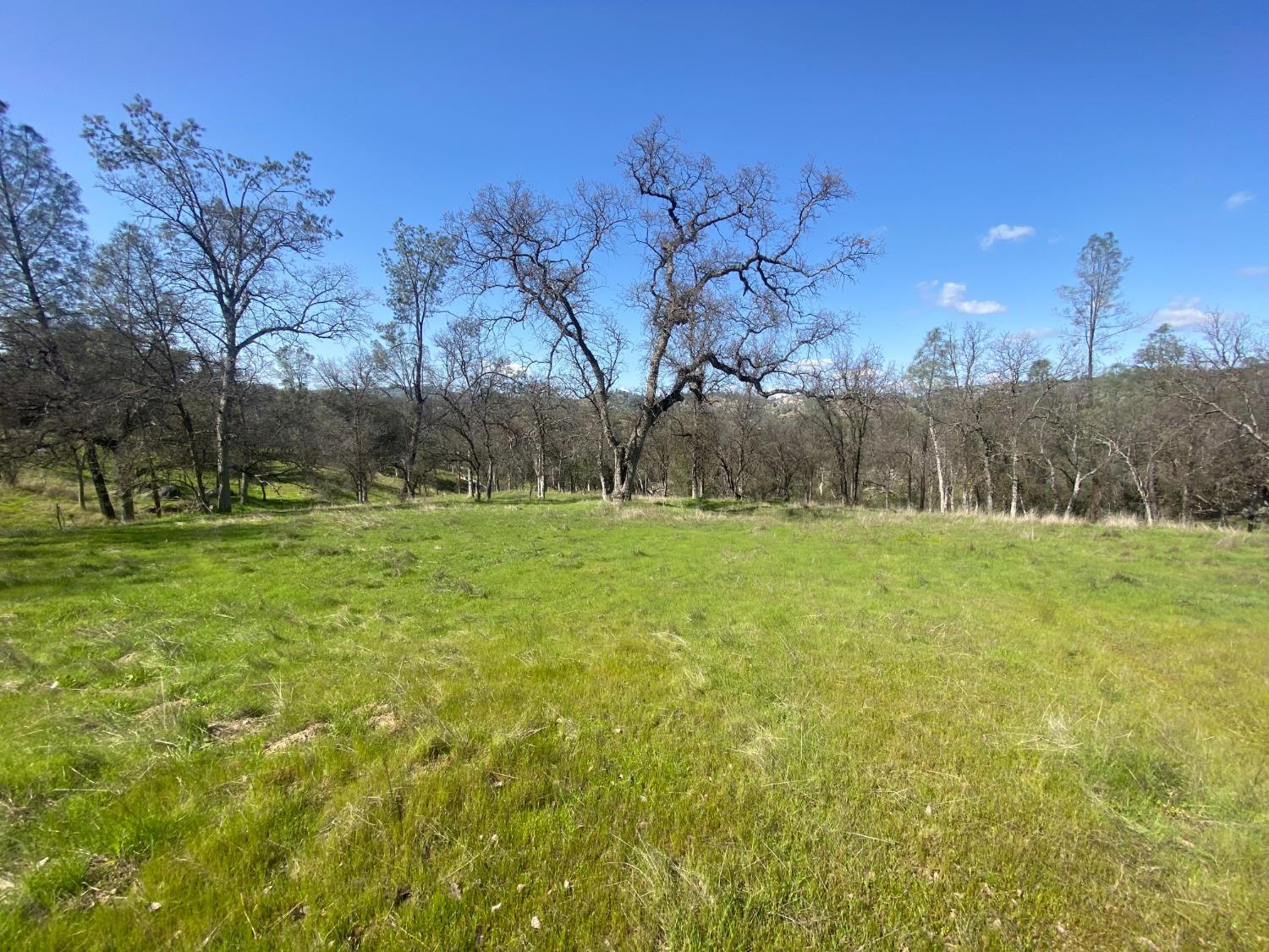 33930 Rivercrest Road North Coarsegold, CA 93614 - Photo 1 of 14 Gallery Image 1
