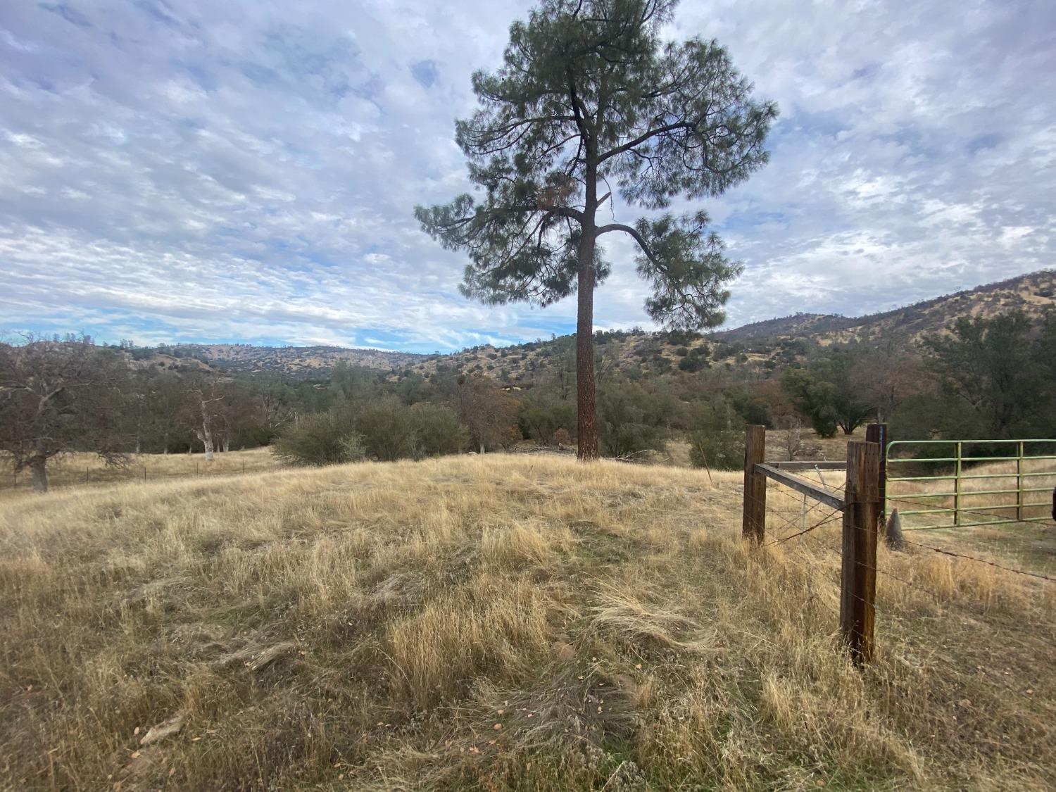 33930 Rivercrest Road North Coarsegold, CA 93614 - Photo 11 of 14 Gallery Image 11