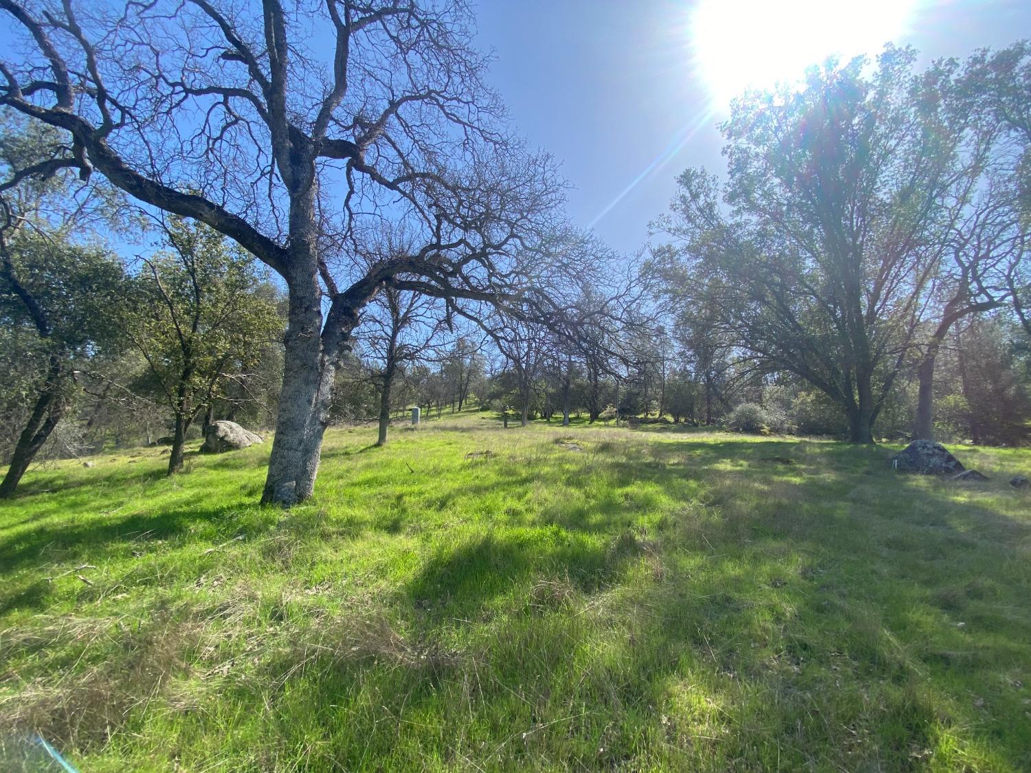 33930 Rivercrest Road North Coarsegold, CA 93614 - Photo 2 of 14 Gallery Image 2
