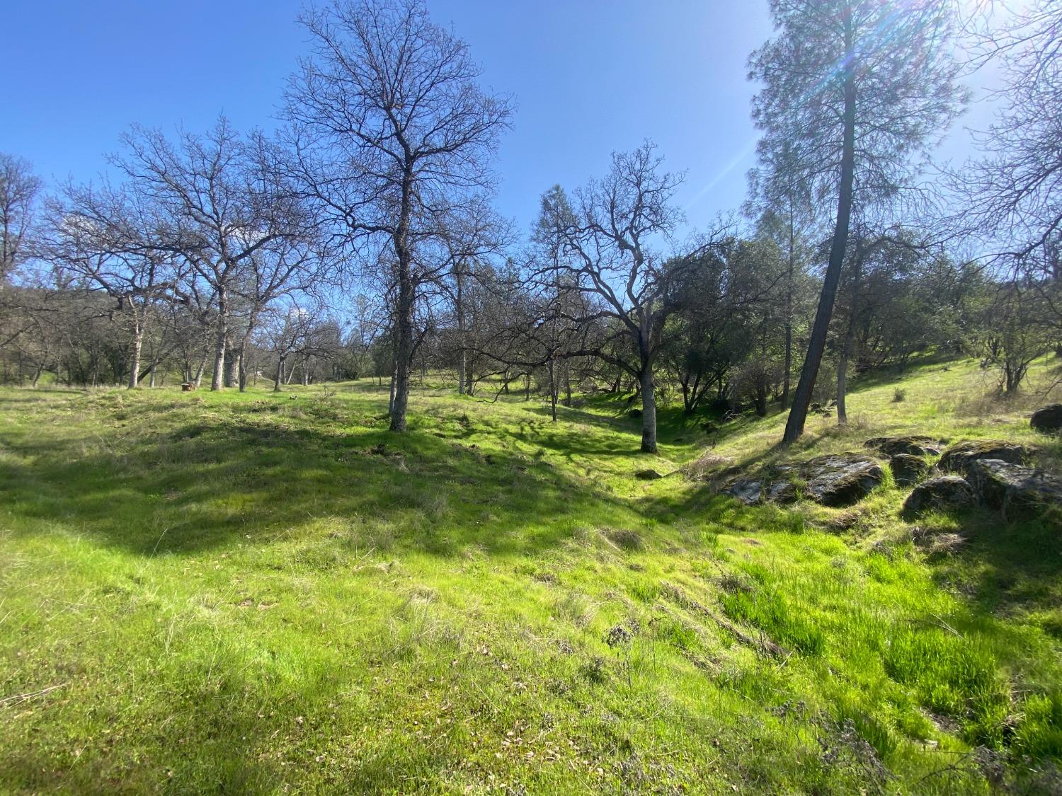 33930 Rivercrest Road North Coarsegold, CA 93614 - Photo 3 of 14 Gallery Image 3