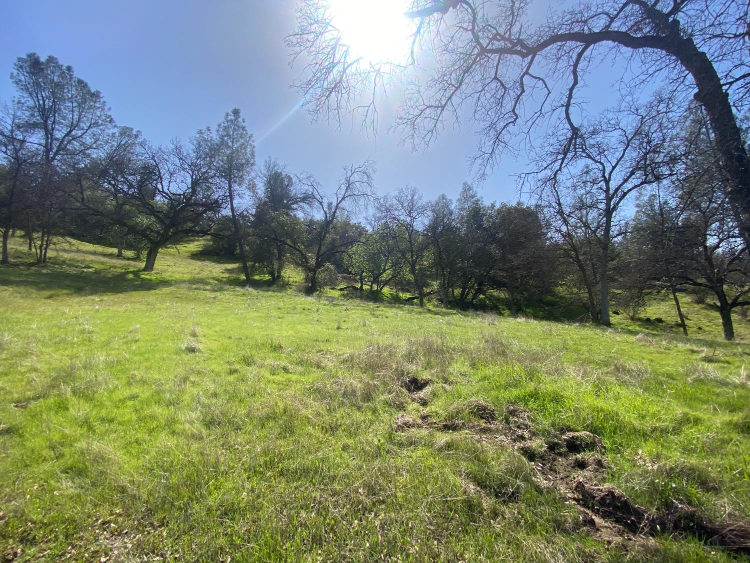 33930 Rivercrest Road North Coarsegold, CA 93614 - Photo 5 of 14 Gallery Image 5