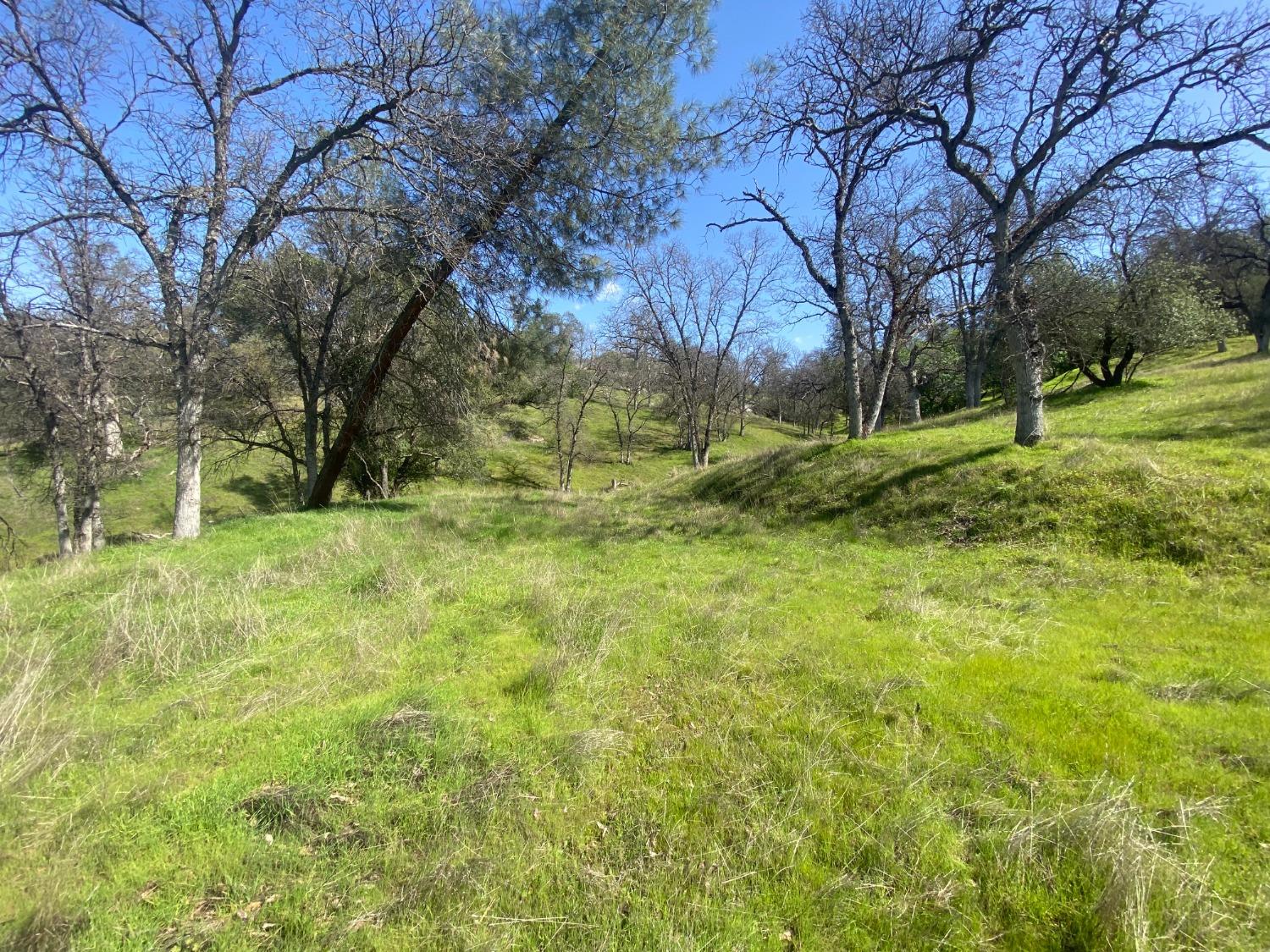 33930 Rivercrest Road North Coarsegold, CA 93614 - Photo 6 of 14 Gallery Image 6