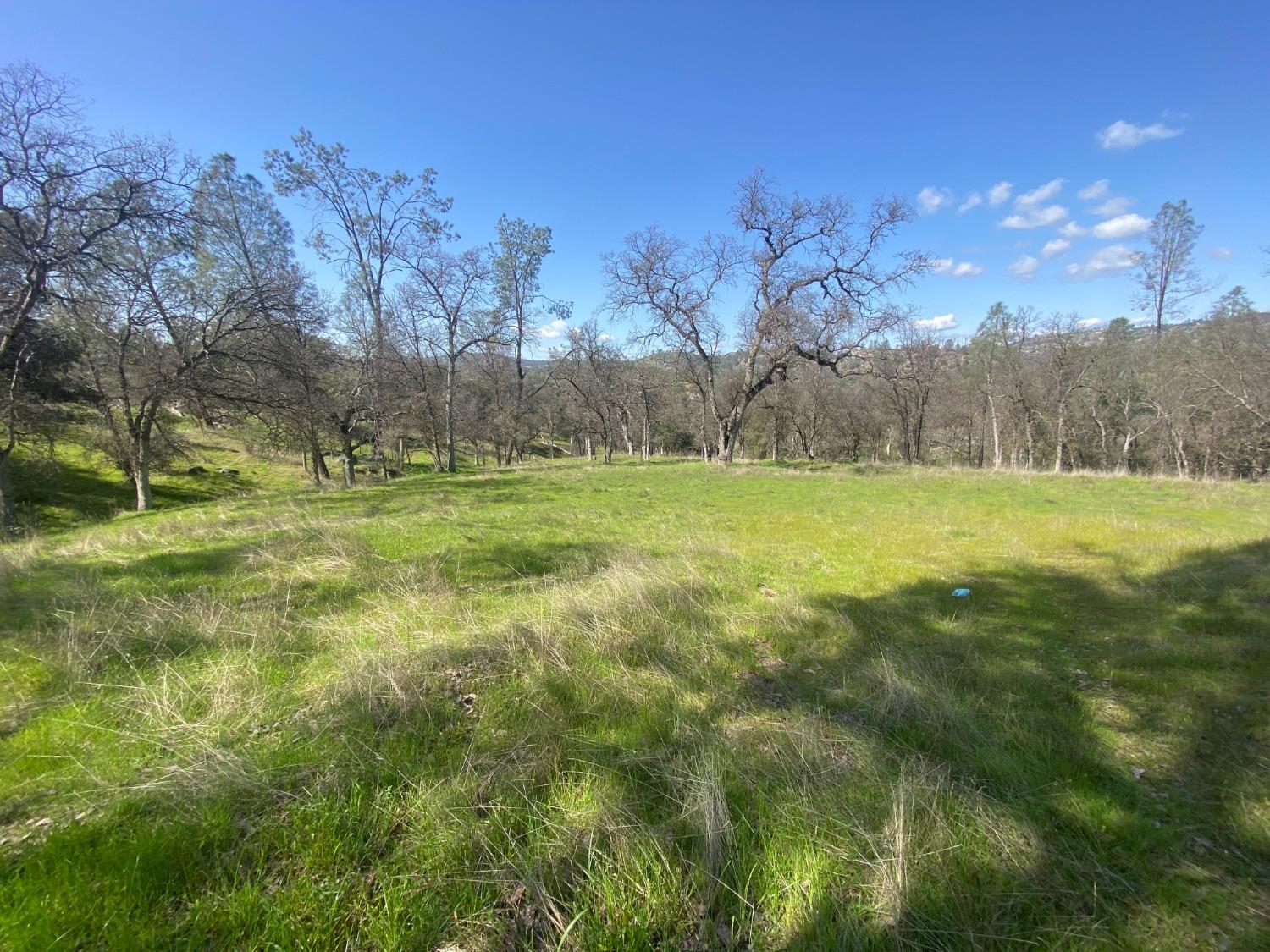 33930 Rivercrest Road North Coarsegold, CA 93614 - Photo 7 of 14 Gallery Image 7