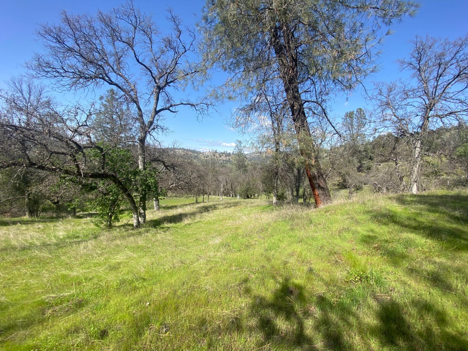 33930 Rivercrest Road North Coarsegold, CA 93614 - Photo 8 of 14 Gallery Image 8