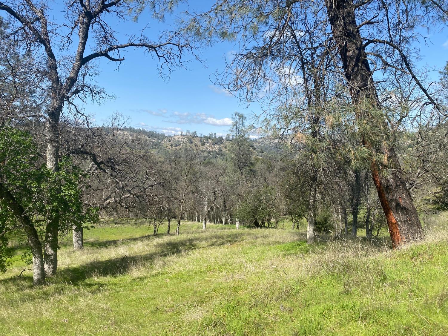 33930 Rivercrest Road North Coarsegold, CA 93614 - Photo 9 of 14 Gallery Image 9