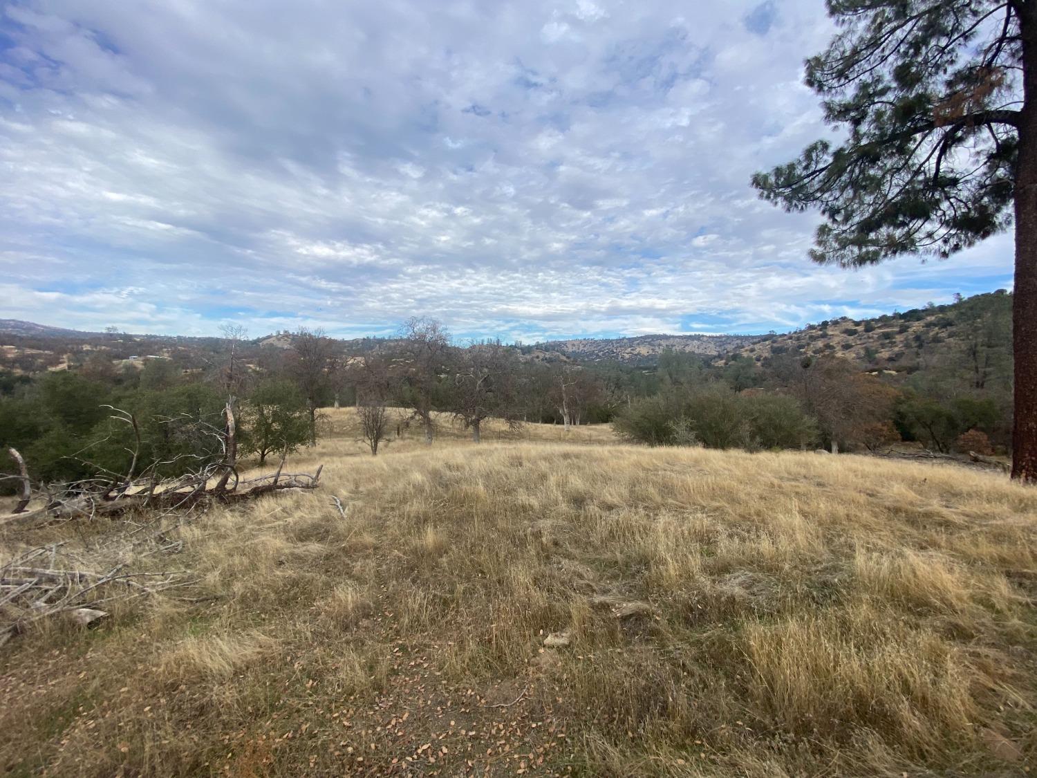 33930 Rivercrest Road North Coarsegold, CA 93614 - Photo 10 of 14 Gallery Image 10