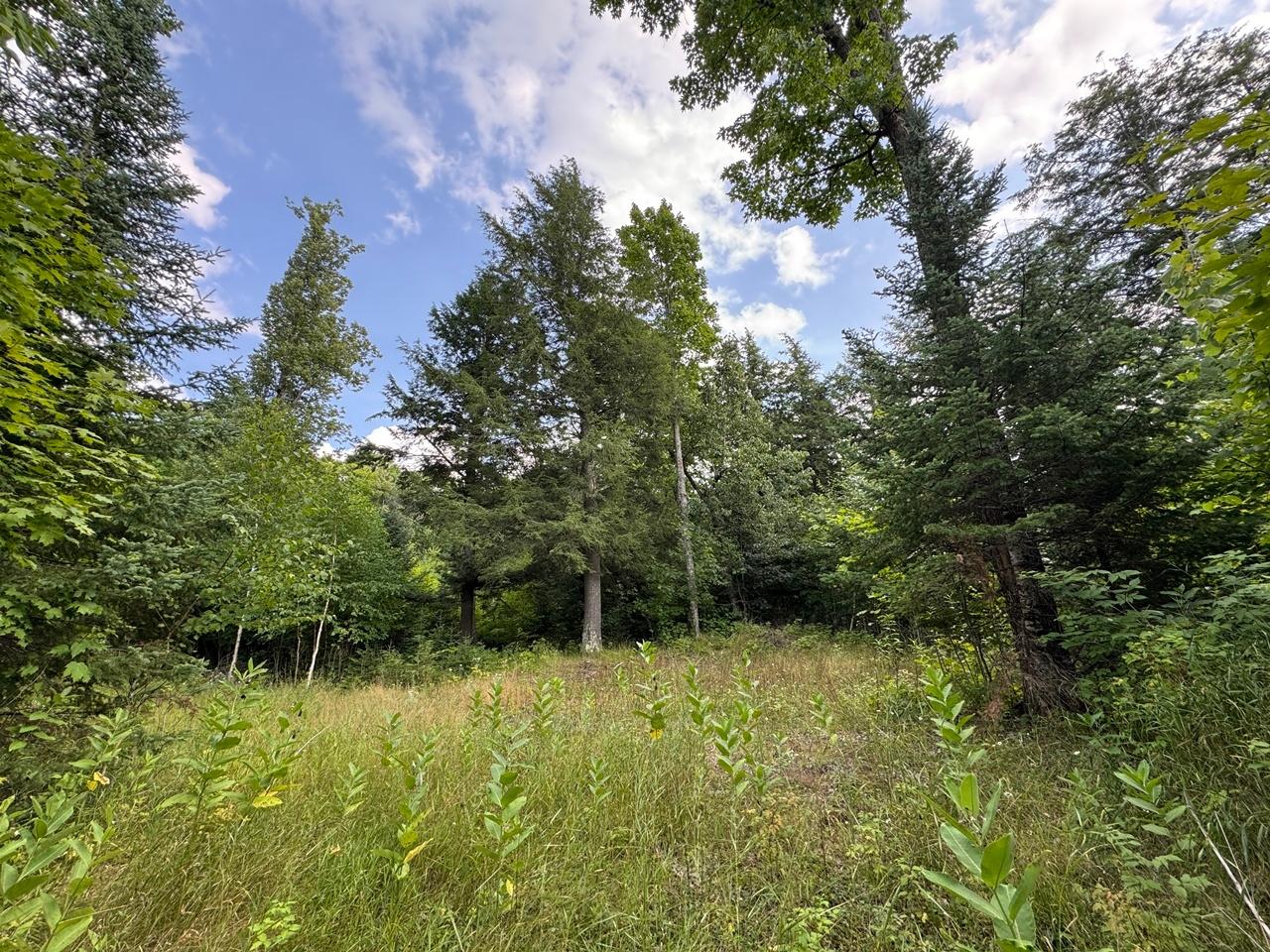 345 Russells Road Mercer, WI 54547 - Photo 21 of 22 Gallery Image 21