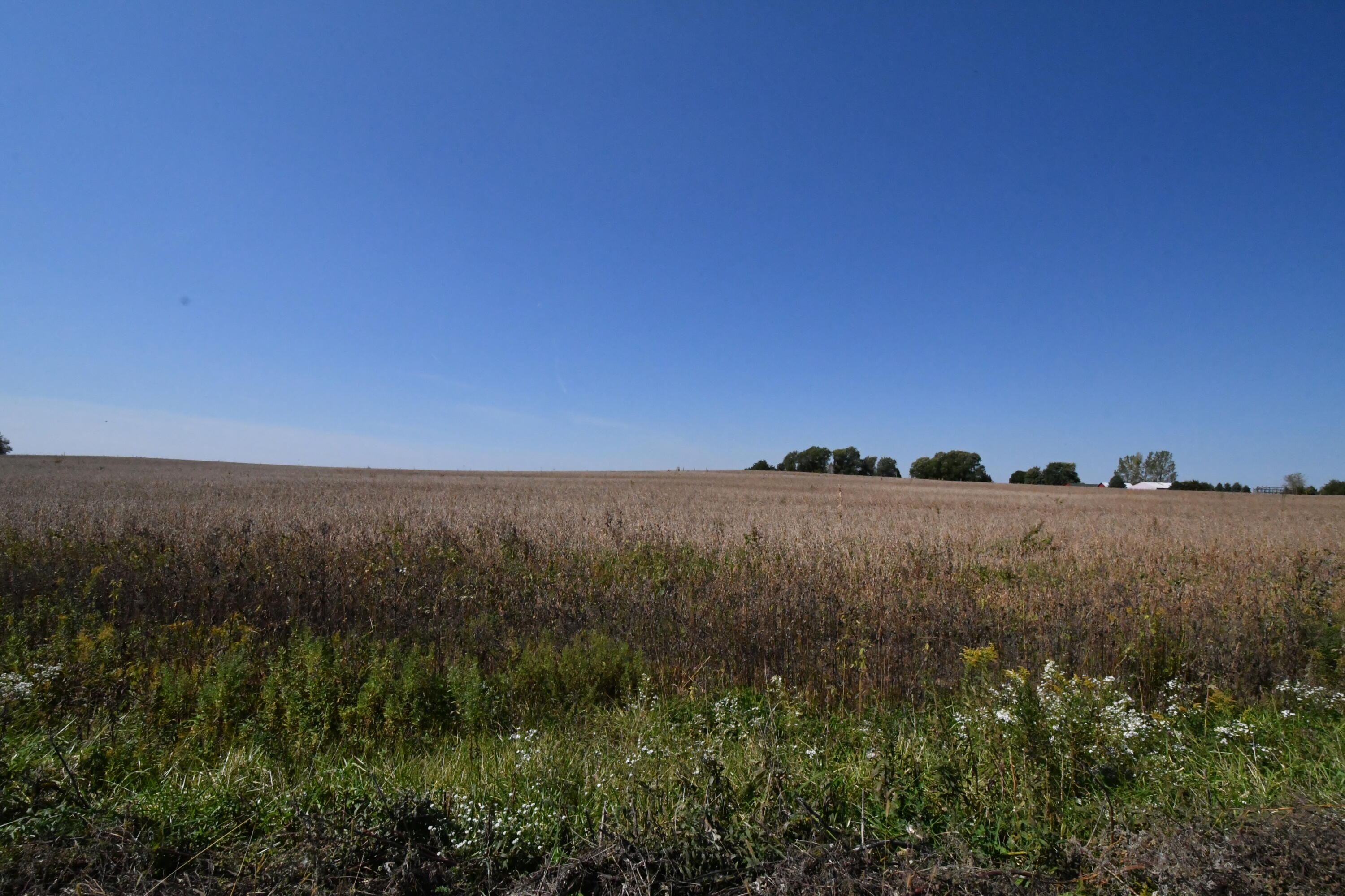 Lt44 Karau Avenue Ripon, WI 54971 - Photo 5 of 6 DSC_9121