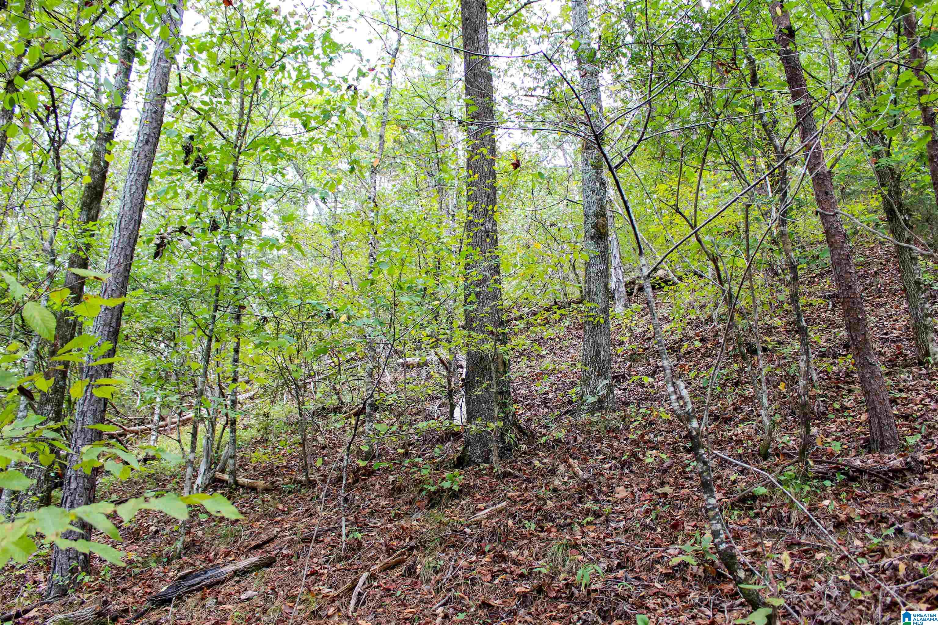 1 Highway 18, Unit 1 Oakman, AL 35579 - Photo 31 of 46