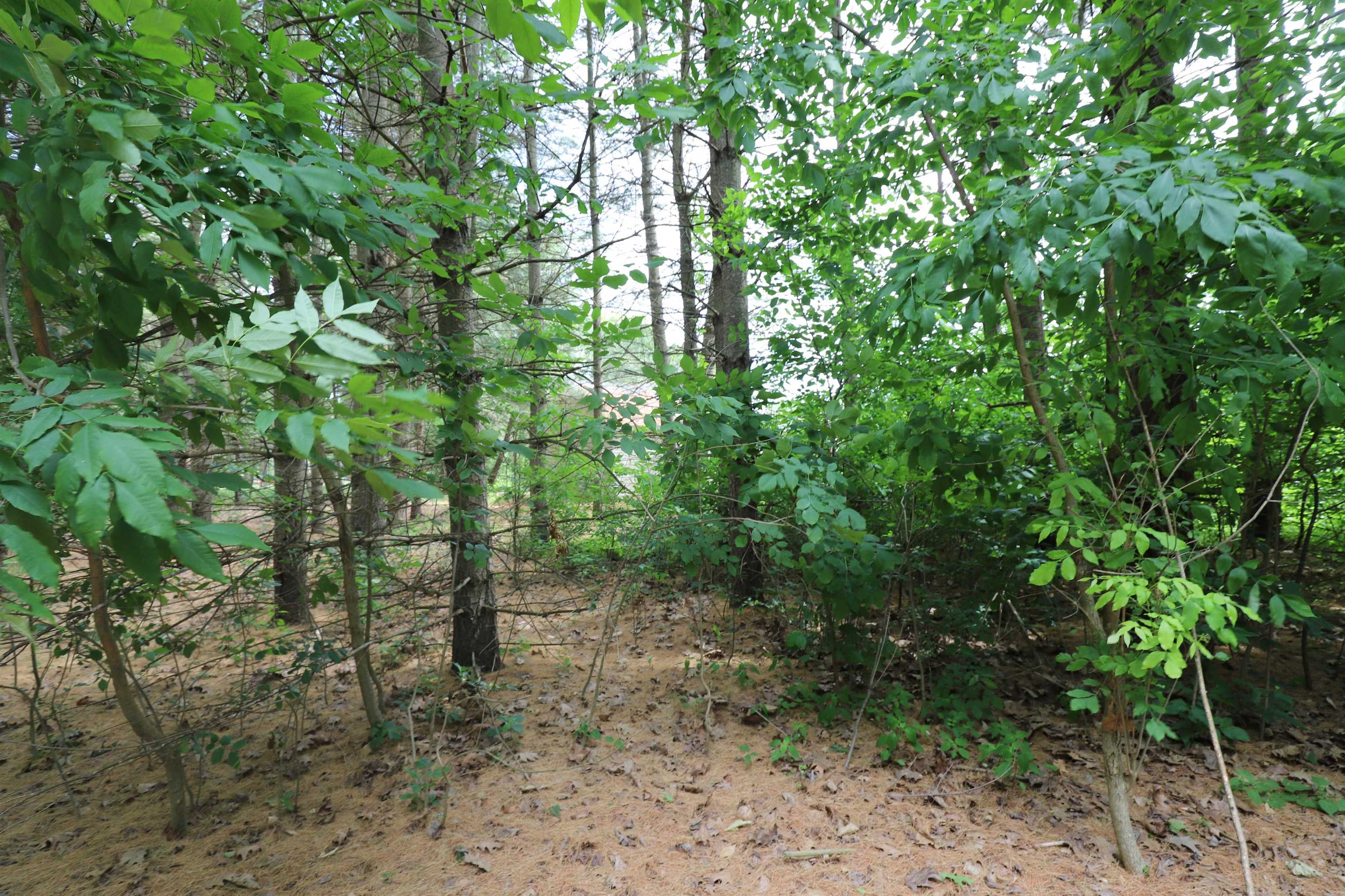 6389 West Wilson Road Clio, MI 48420 - Photo 36 of 37 50145988-499dbfa3-e26a-4fd9-84e4-5be409459b65.JPG