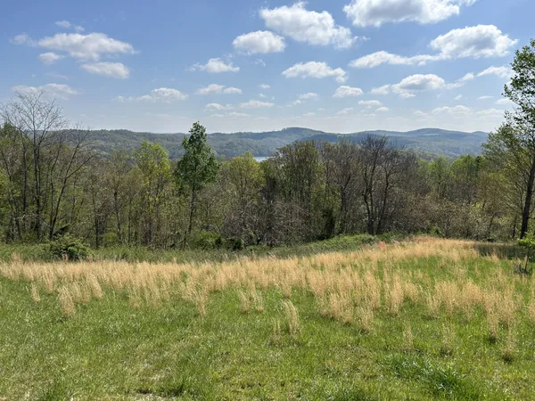 a view of an outdoor space and a yard