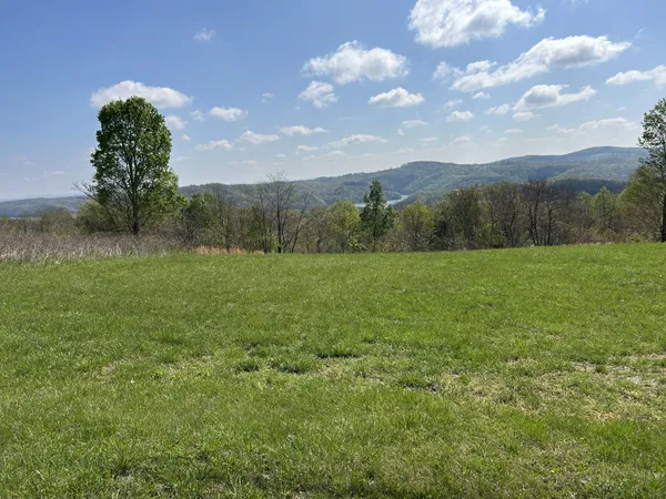 a view of a lake with mountains in the background