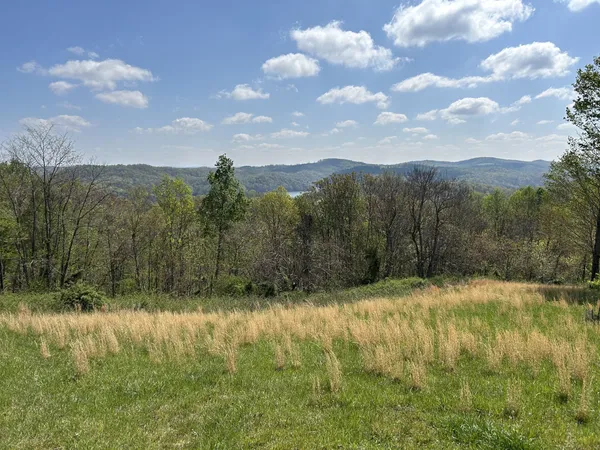 a view of an outdoor space and a yard