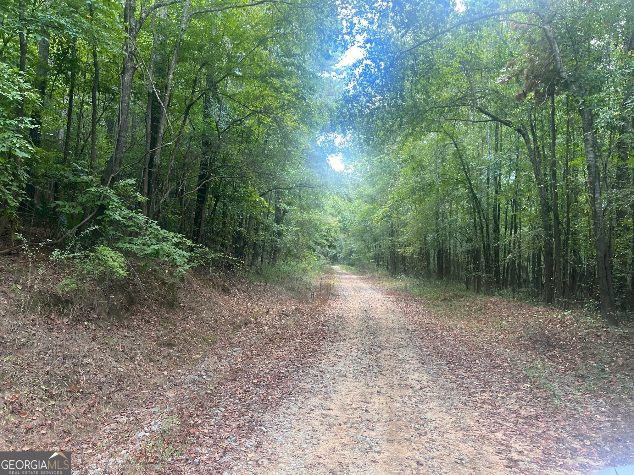 0 Charles Reeves Road Roberta, GA 31078 - Photo 2 of 6