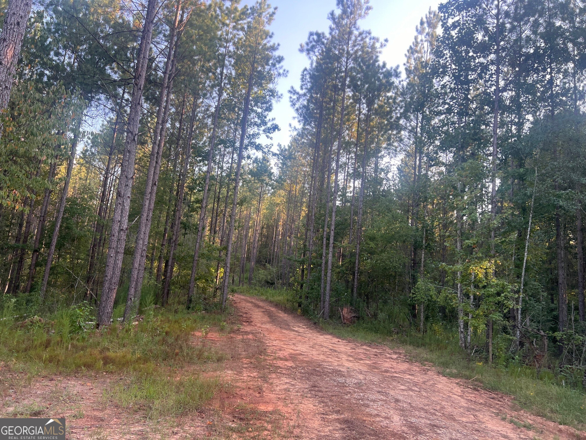 0 Charles Reeves Road Roberta, GA 31078 - Photo 3 of 6
