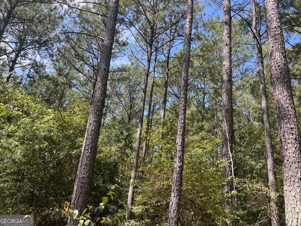 $8,450,000 | 0 Charles Reeves Road, Roberta, GA 31078