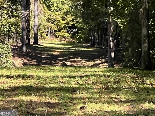 $8,450,000 | 0 Charles Reeves Road, Roberta, GA 31078