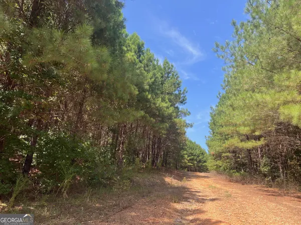 $8,450,000 | 0 Charles Reeves Road, Roberta, GA 31078
