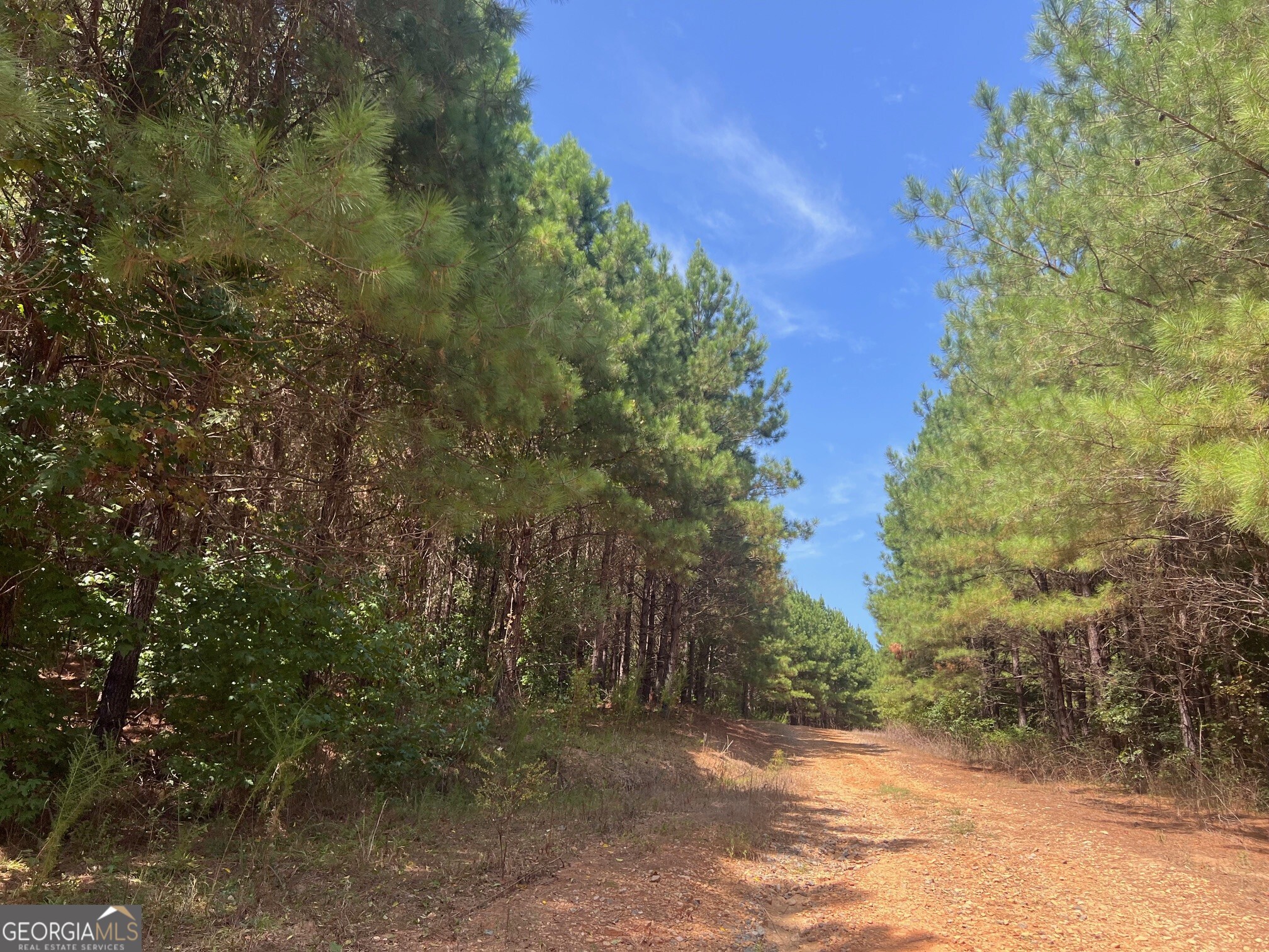 0 Charles Reeves Road Roberta, GA 31078 - Photo 6 of 6